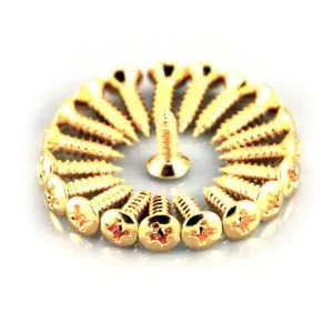 Pickguard Screws by Guitar Anatomy