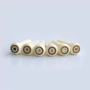 Bone Bridge pins by Guitar Anatomy