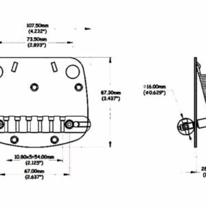 Mustang Tremolo Unit | Guitar Anatomy