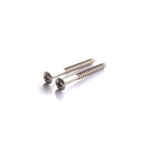 2x Neck Plate Screws by Guitar Anatomy - Chrome