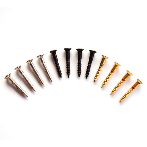 Telecaster Ashtray Screws x4 - Chrome, Black, Gold | Guitar Anatomy