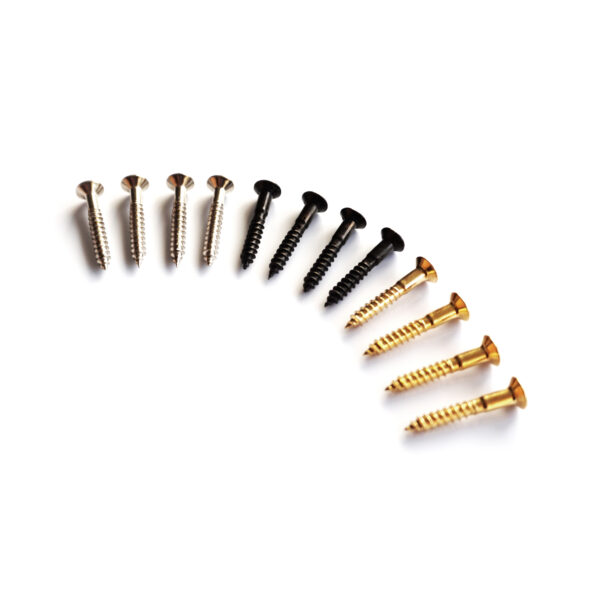 Telecaster Ashtray Screws x4 - Chrome, Black, Gold | Guitar Anatomy