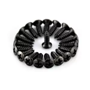 Pickguard Screws by Guitar Anatomy