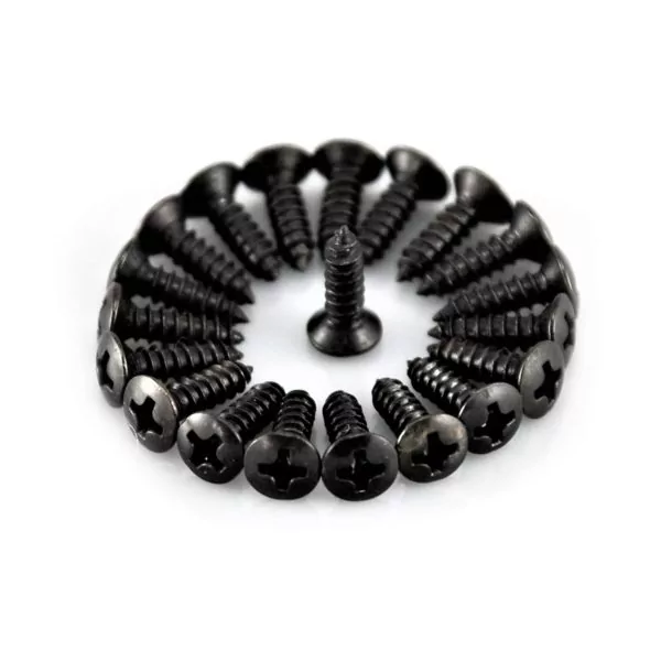 Pickguard Screws by Guitar Anatomy